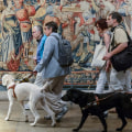 Exploring Museums: A Comprehensive Guide for Visitors with Disabilities